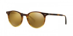 Delray Brown Tortoise Gradient